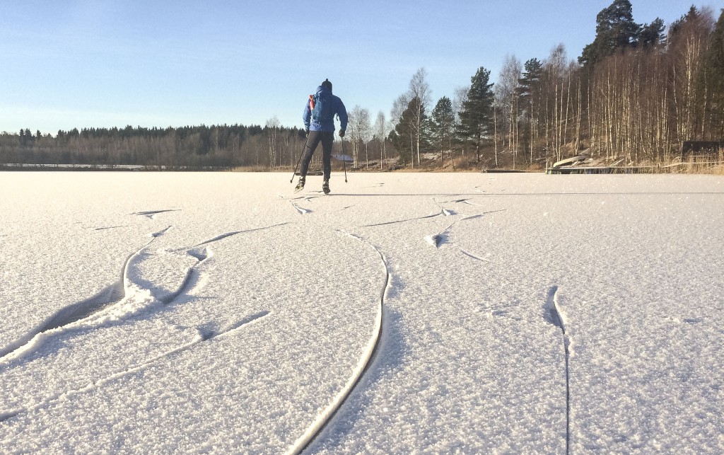 Fin is på Svartskärssjön 28/12 2015